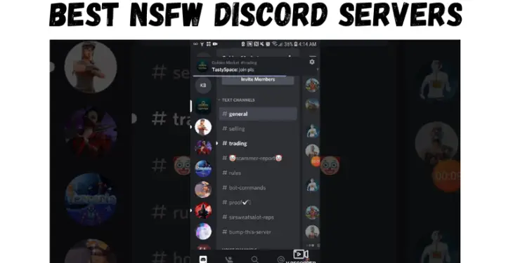 discord tos nsfw